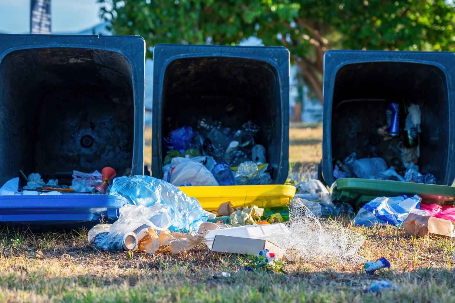 Debris Removal in Jacksonville, IL